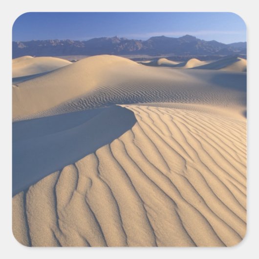 北米，米国，カリフォルニア，デスバレー3 スクエアシール (正面)