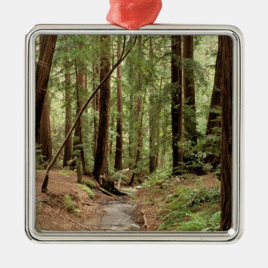 北米，米国，カリフォルニア，ビッグスール， 3 メタルオーナメント (正面)