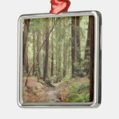 北米，米国，カリフォルニア，ビッグスール， 3 メタルオーナメント (左)