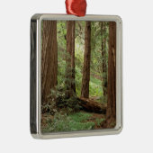 北米、米国、カリフォルニア、ビッグ·スール メタルオーナメント (右)