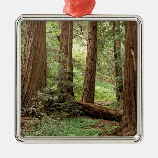 北米、米国、カリフォルニア、ビッグ·スール メタルオーナメント (正面)