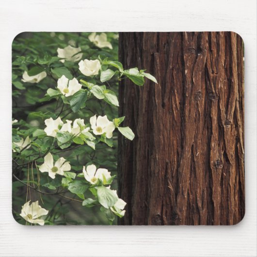 北米、米国、カリフォルニア、ヨセミテ3 マウスパッド (正面)