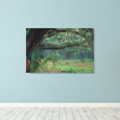 北米,米国,ジョージア,カンバーランド2 キャンバスプリント (インサイチュ (ウッドフロア))