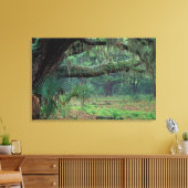 北米,米国,ジョージア,カンバーランド2 キャンバスプリント (インサイチュ (リビング))