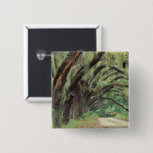 北米，米国，ジョージア，カンバーランド2 缶バッジ (正面&裏面)