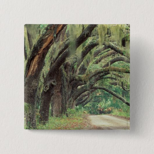 北米，米国，ジョージア，カンバーランド2 缶バッジ (正面)