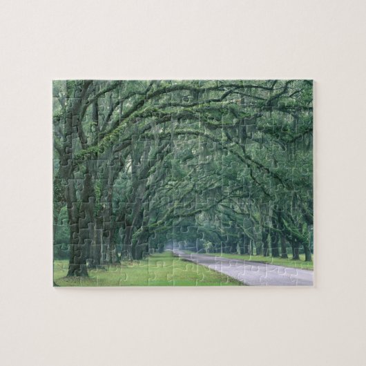 北米、米国、ジョージア、サバンナ、 ジグソーパズル (横)