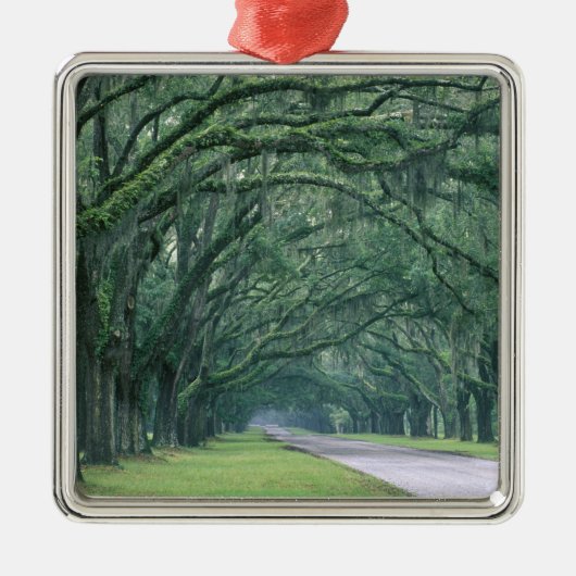 北米、米国、ジョージア、サバンナ、 メタルオーナメント (正面)