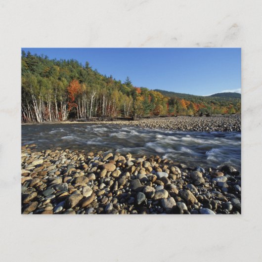 北米, 米国, ニューハンプシャー州, サコ川の小石の多い浜辺にて ポストカード (正面)