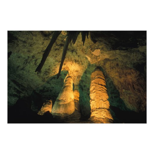 北米、米国、ニューメキシコ、カールスバッド フォトプリント (正面)