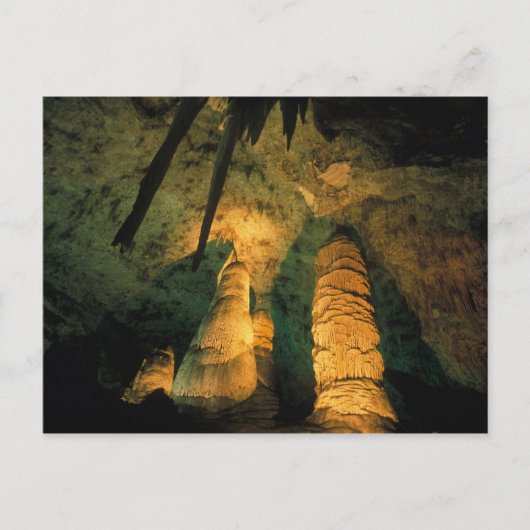 北米、米国、ニューメキシコ、カールスバッド ポストカード (正面)