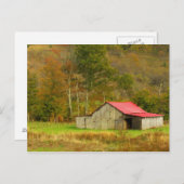 北米、米国、ノースカロライナ、農村部 ポストカード (正面/裏面)