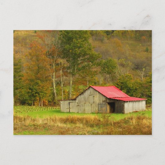 北米、米国、ノースカロライナ、農村部 ポストカード (正面)