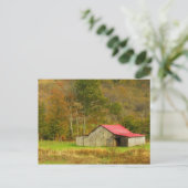 北米、米国、ノースカロライナ、農村部 ポストカード (スタンド正面)