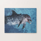 北米、米国、ハワイ。イルカ ジグソーパズル (横)