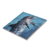 北米、米国、ハワイ。イルカ タイル (側面)