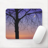 北米、米国、フロリダ、ドーラ山、 マウスパッド (マウス)