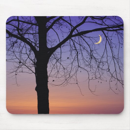 北米、米国、フロリダ、ドーラ山、 マウスパッド (正面)