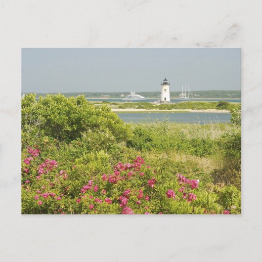北米、米国、マサチューセッツ州、マーサ ポストカード (正面)