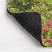 北米、米国、マサチューセッツ州、マーサ マウスパッド (コーナー)