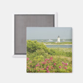 北米、米国、マサチューセッツ州、マーサ マグネット (正面/裏面)