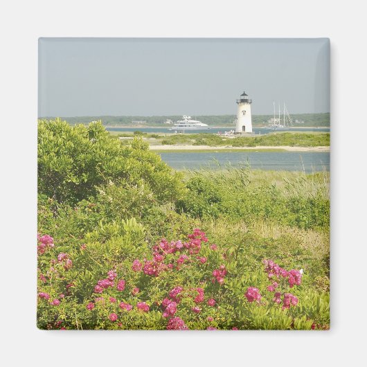 北米、米国、マサチューセッツ州、マーサ マグネット (正面)