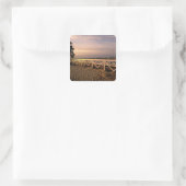 北米、米国、マサチューセッツ、ナンタケット3 スクエアシール (バッグ)