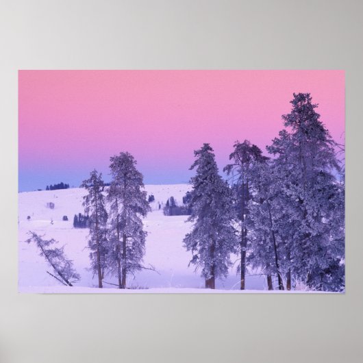 北米、米国、モンタナ、イエローストーン ポスター (正面)