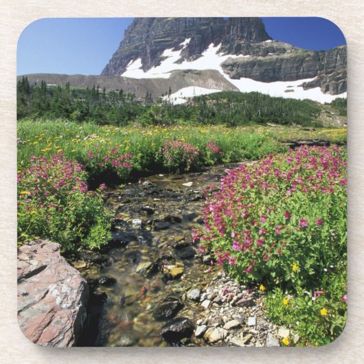 北米、米国、モンタナ、グレーシアナショナル3 コースター (正面)