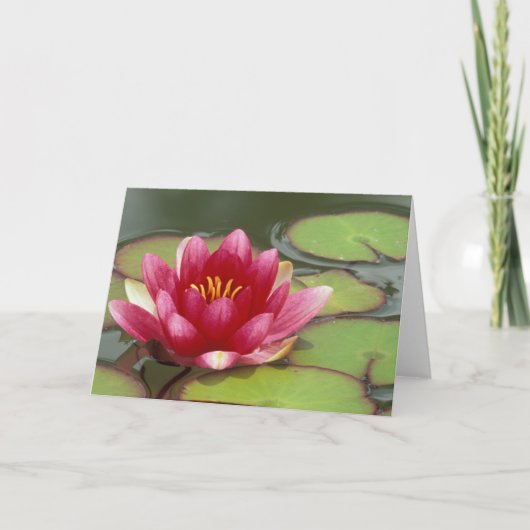 北米，米国，ワシタン，シアトル，ウッドランドパーク カード (正面)