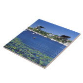 北米，米国，ワシントン州，シアトル， タイル (側面)