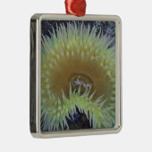 北米、米国、ワシントン、オリンピック4 メタルオーナメント (右)