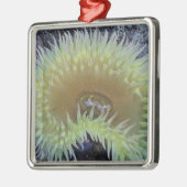 北米、米国、ワシントン、オリンピック4 メタルオーナメント (左)