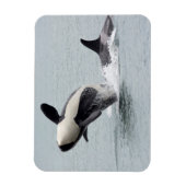 北米、米国、ワシントン、サンフアン マグネット (縦)