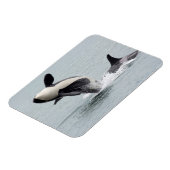 北米、米国、ワシントン、サンフアン マグネット (左側)