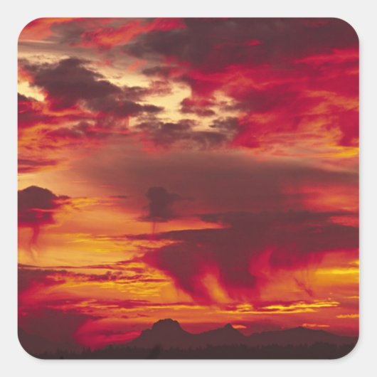 北米、米国、ワシントン、シアトル。サンライズ スクエアシール (正面)