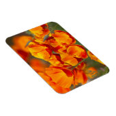 北米、米国、ワシントン、シアトル マグネット (右側)