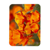 北米、米国、ワシントン、シアトル マグネット (縦)