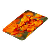 北米、米国、ワシントン、シアトル マグネット (左側)