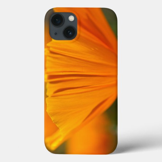 北米,米国,ワシントン,シアトル,夏 Case-Mate iPhoneケース (裏面)