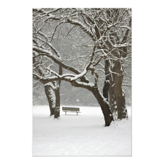 北米、米国、ワシントン、シアトル、雪2 フォトプリント            (正面)