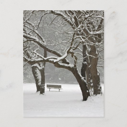 北米、米国、ワシントン、シアトル、雪2 ポストカード (正面)