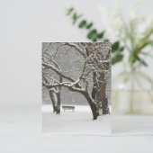 北米、米国、ワシントン、シアトル、雪2 ポストカード (スタンド正面)