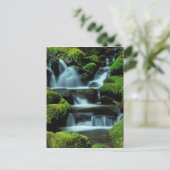 北米;米国;ワシントン、ソルダックカスケード ポストカード (スタンド正面)