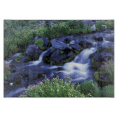 北米、米国、ワシントン、レイニア山3 カッティングボード (正面)