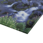 北米、米国、ワシントン、レイニア山3 カッティングボード (角)