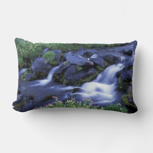 北米、米国、ワシントン、レイニア山3 ランバークッション (正面)