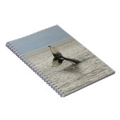 北米、米国、AK、内部の通路。ハンプバック ノートブック (右側)