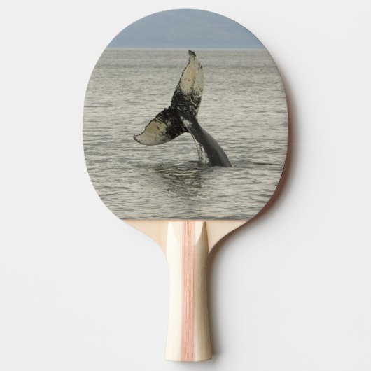 北米、米国、AK、内部の通路。ハンプバック 卓球ラケット (正面)