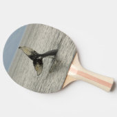 北米、米国、AK、内部の通路。ハンプバック 卓球ラケット (横)